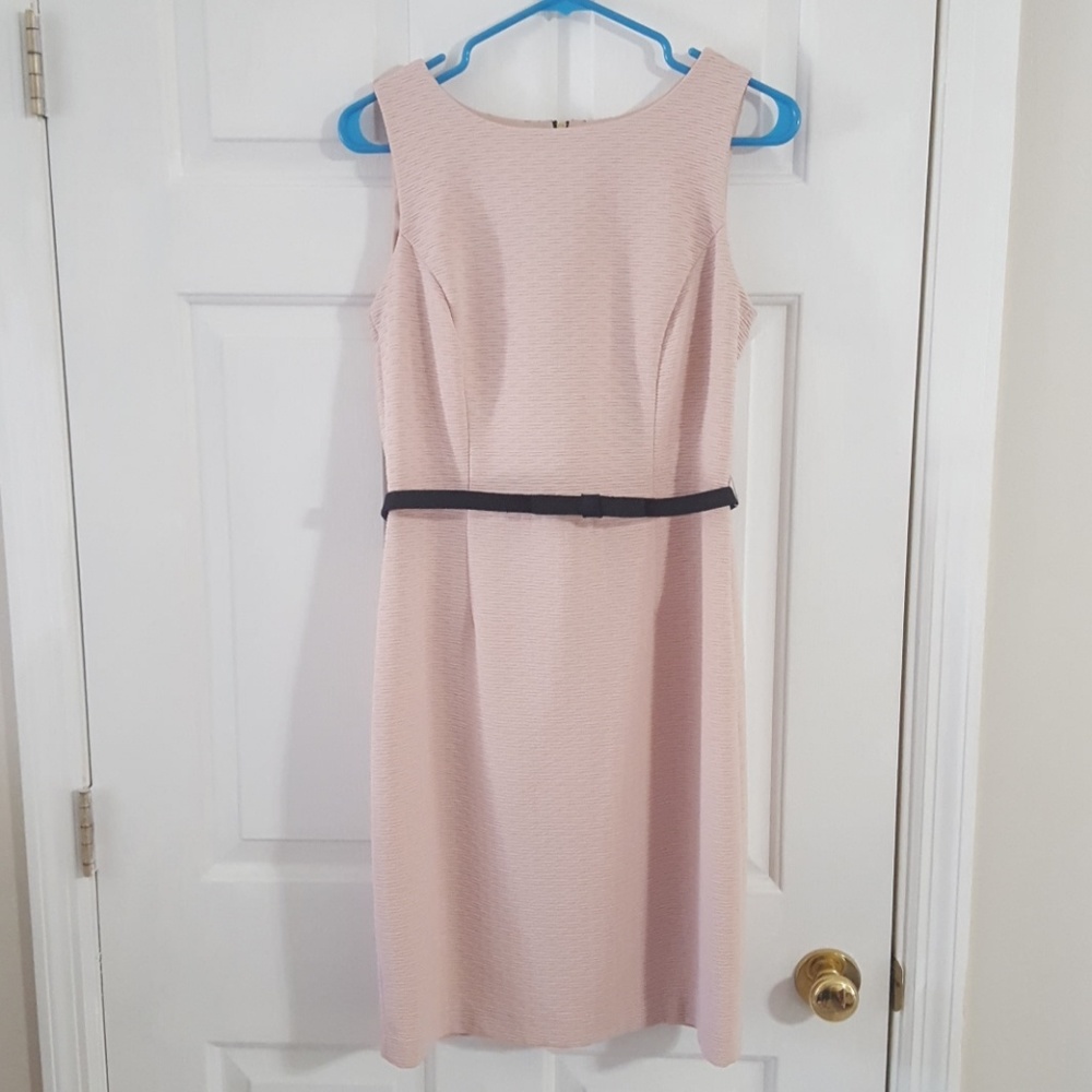 The Limited Blush Belted Cocktail Dress with Lace